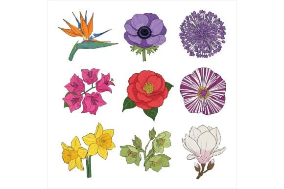 Assorted Flower Illustrations Bundle: A Versatile Graphic Design Asset for Crafters
