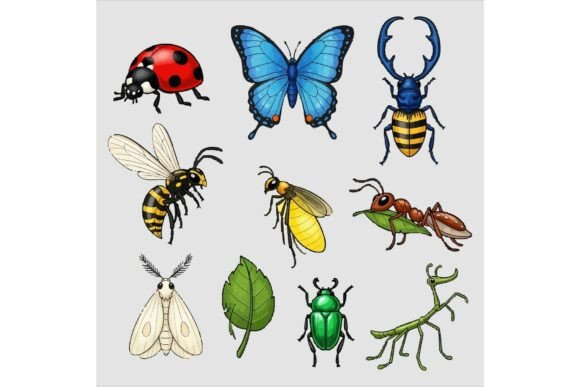 Various Colorful Insects Illustration: A Vibrant Design Asset for Creative Projects